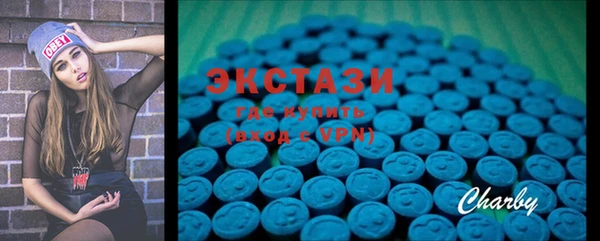 ECSTASY Богородицк